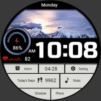 Large Weather LCD ZKin Watch