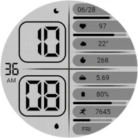 ZKin Watch Face Monochrome LCD
