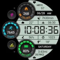 Retro funktionell LCD-skärm