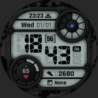 Camo LCD: Watch Face